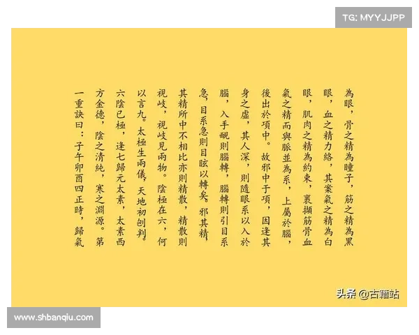 九阴真经装备提升全攻略详细解析提升秘籍与实用技巧 九阴真经装备提升全攻略详细解析提升秘籍与实用技巧