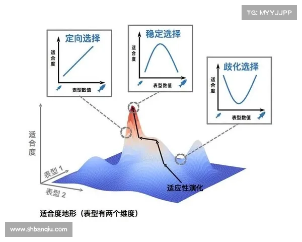 探索古老生物的力量与智慧如何影响现代生态与生命演化 探索古老生物的力量与智慧如何影响现代生态与生命演化