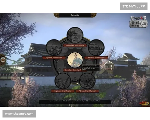 掌握捕捉秘诀全面提升成功率游侠宠物最强攻略TOP7