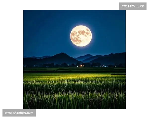 月光照耀下关于灵魂追寻与时间交织的奇幻旅程 月光照耀下关于灵魂追寻与时间交织的奇幻旅程