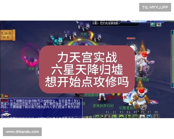 梦幻西游角色实力提升与团队协作技巧全面解析与实战指南