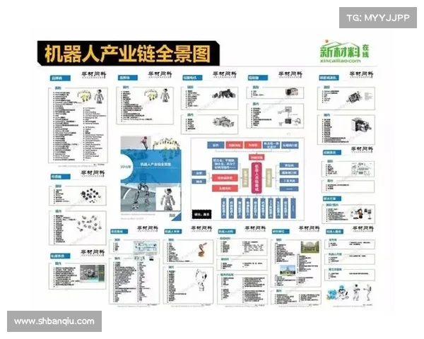全面解析葡萄牙足球队名称由来与其历史文化渊源深度介绍全景呈现